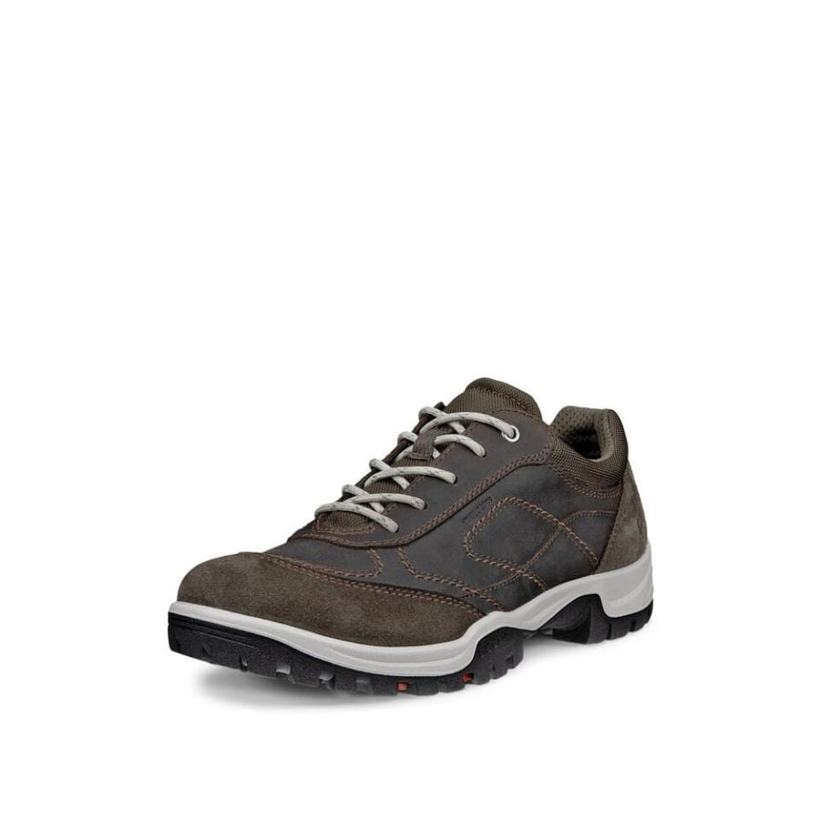 Ecco 811433 Ladies Shoe Wp-Clay