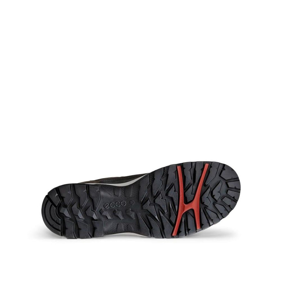Ecco 811433 Ladies Shoe Wp-Clay
